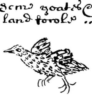 FIGURE 2.—Peter Mundy's sketch of the Ascension rail, with a sample of his script for scale