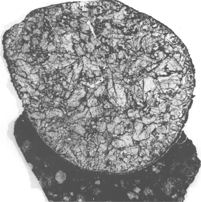 FIGURE 5.—Microphotograph (transmitted light) of 3529-G, a Group I melilite-rich chondrule 25 mm in diameter; melilite is present as large prismatic crystals, fassaite and anorthite occur as equant grains interstitial to the melilite, and spinel is dissemi