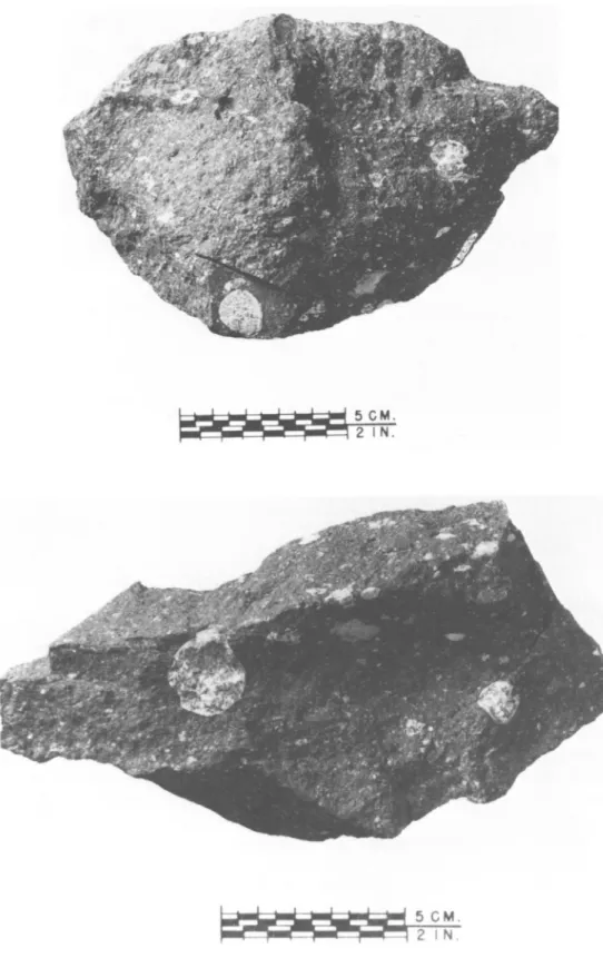 FIGURE 2.—Four pieces of Allende 3529, illustrating the irregular distribution of large CAI chondrules, CAI aggregates, and dark inclusions.