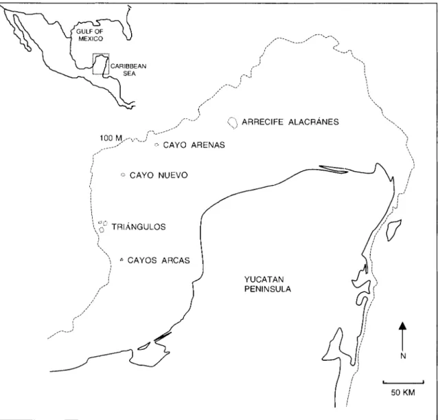 Figure  1.  Location of reef island complexes on  the Campeche Bank of  the southeastern  Gulf of  Mexico