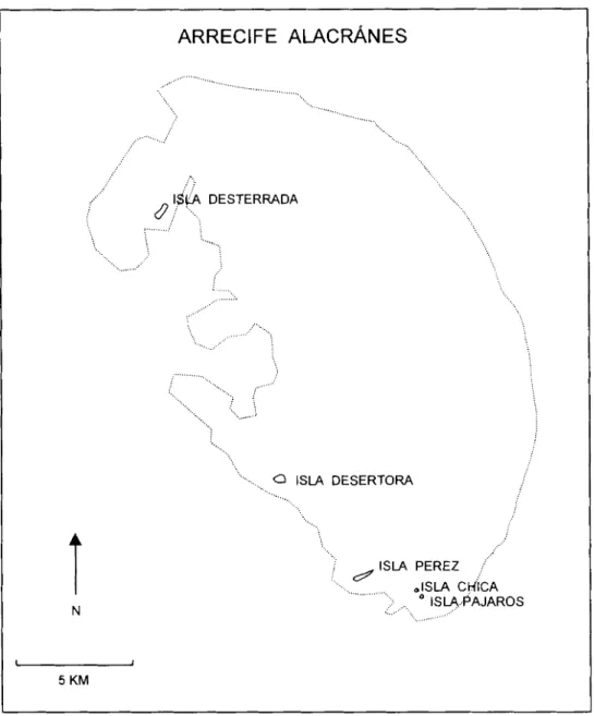 Figure 2.  Map of Arrecife Alacranes (Alacran atoll) showing reef islands on leeward  margin