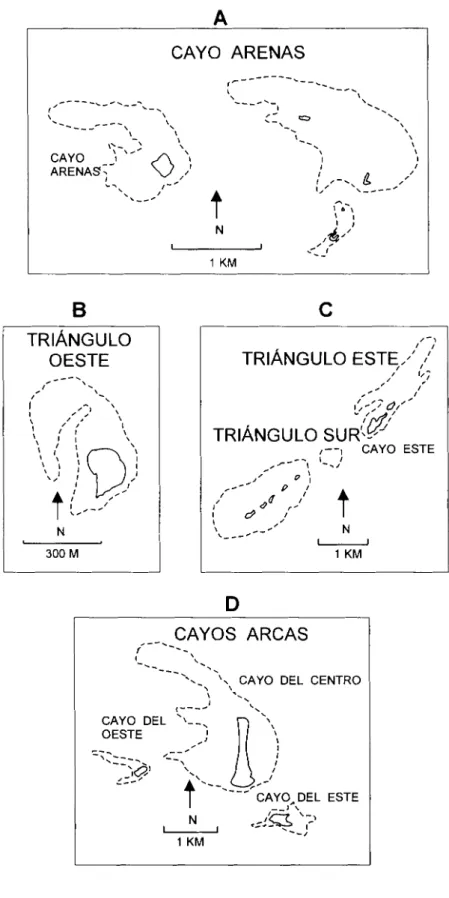 Figure 3.  Maps of selected reef islands on Campeche Bank:  A) Cayo Arenas; 