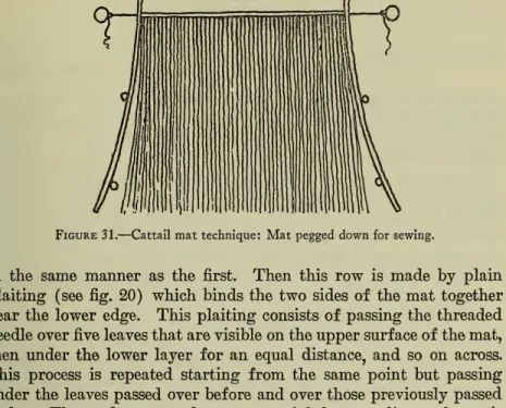 Figure 31. — Cattail mat technique: Mat pegged down for sewing.