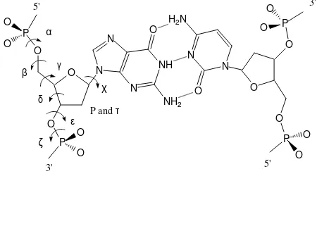 Figure 2A5'O3'