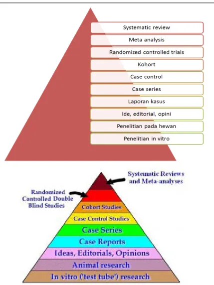 Gambar 3.1 The Evidence Pyramid