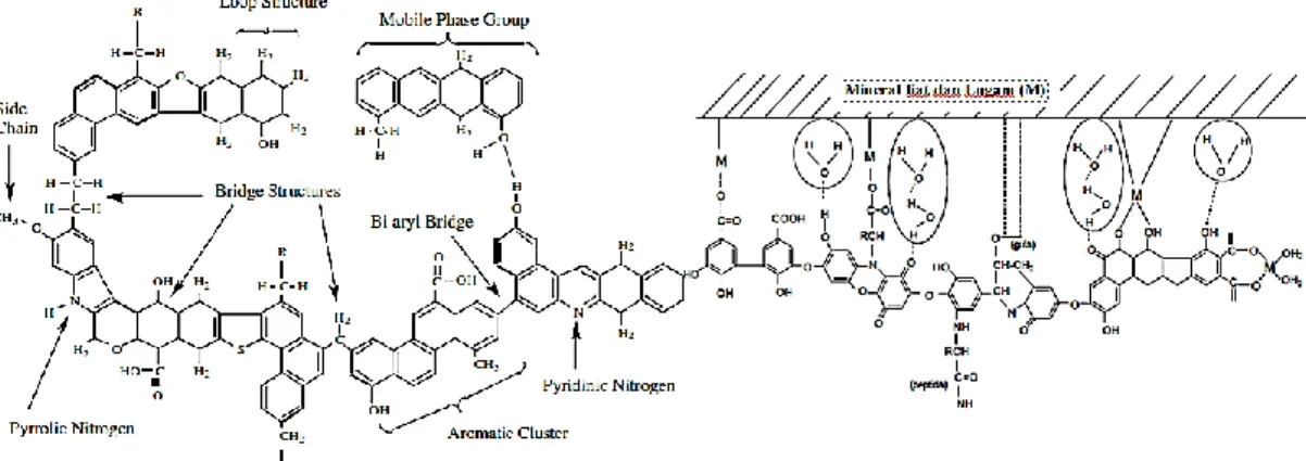 Gambar  3.1  (A)  Reaksi  thermolitik  batubara  Sub-bituminus  dan    (B)  Reaksi  khelat  dalam  Ikatan  van  der  Waals  antara  asam  humat  dengan  mineral liat dan logam (Tan, 2010)  