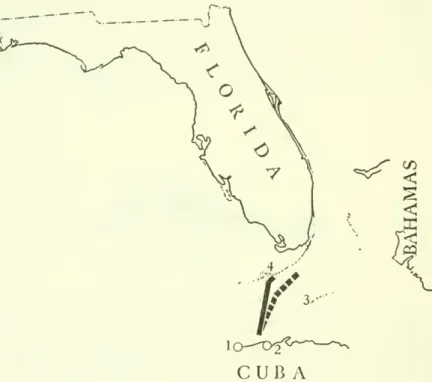 Fig. 2. — Map of the Florida Straits, showing the course of the last cruise of