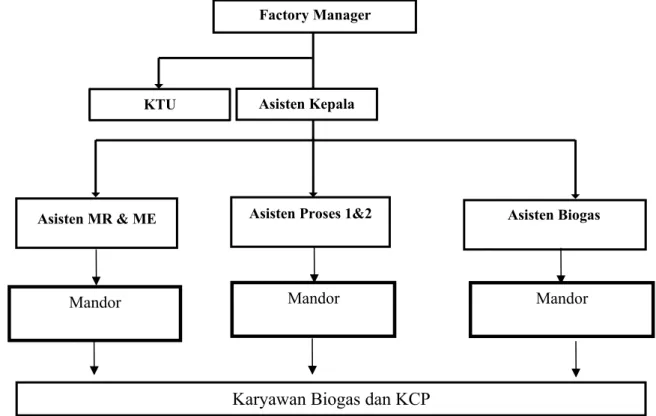 Gambar 4.1. Struktur Organisasi KCP dan Biogas Pelakar