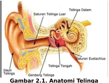 Gambar 2.1. Anatomi Telinga Sumber : Soetirto 1997(18).