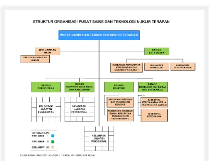 Gambar 2.1 Struktur organisasi PSTNT BATAN 