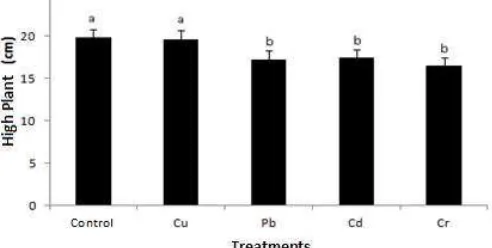 Figure 1. The second leaf of Sonchus oleraceus on heavy metal stress conditions 