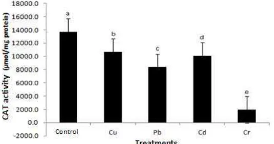 Figure 8. Activity APX difference ( Sonchus oleraceus plants in heavy metal stress conditions