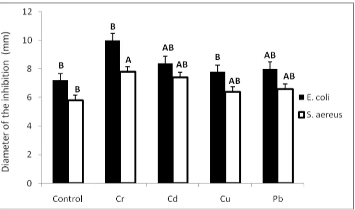 FIGURE 4. Average diameter of the inhibition of leaf extracts tempuyung with various heavy metals treatment against Escherichia coli and Staphylococcus aureus (* Different letters indicate significantly different values)