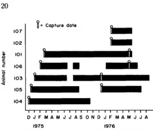 FIGURE 16.—Times when individual tigers were monitored by radio-tracking.