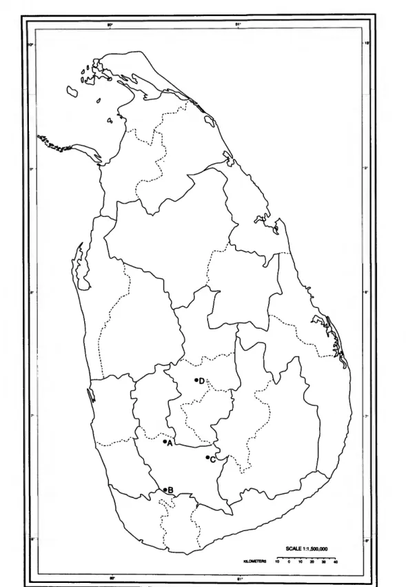 FIGURE 1.—Map of Sri Lanka showing study localities: A, Gilimale; B, Sinharaja Forest Reserve; c, Belihul Oya;