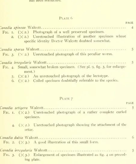 Fig. I. (X I-5-) Specimen having an unusually straight position, with