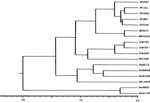 FIGURE 2.—Cluster analysis (UPGMA) of 17 population samples of Peromyscus generated from the distance matrix