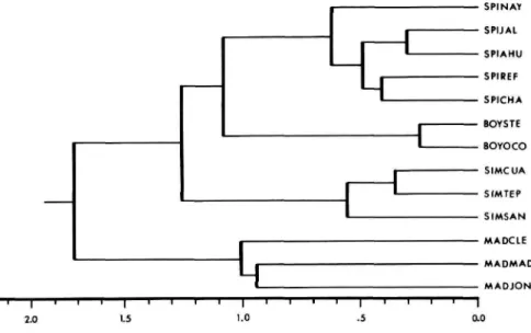 FIGURE 3.—Cluster analysis (UPGMA) of 13 population samples representing Peromyscus boylii species group generated from the distance matrix