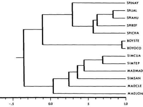 FIGURE 4.—Cluster analysis (UPGMA) of 13 population samples representing the Peromyscus boylii species group generated from the correlation matrix