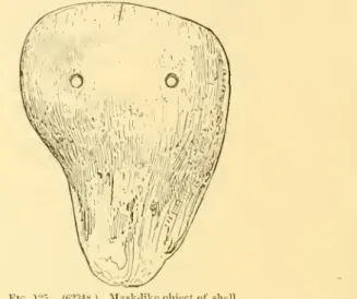 Fig. 125. (02348.) Mask-like objoct (if .shell.