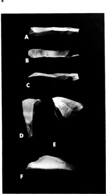 FIGURE 9.—Chert artifacts from Burma Quarry, A-C, blade from tailings, D-F, blade or core from east horizontal unit, 0-1 m east of reference point