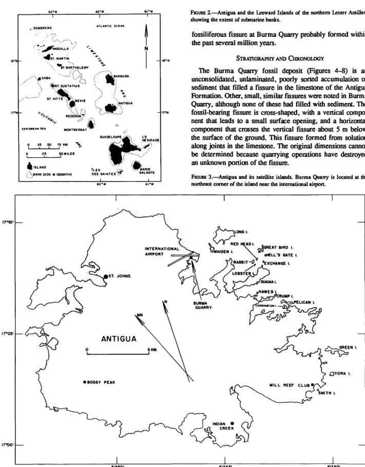 FIGURE 2.—Antigua and the Leeward Islands of the northern Lesser Antilles, showing the extent of submarine banks.