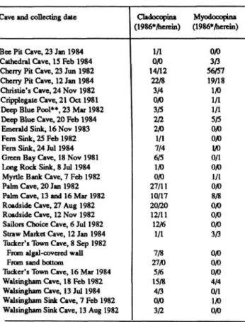 TABLE 1.—Comparison of numbers of specimens of Cladooopina and Myodocopina in Bermudan Caves reported from same samples by Maddocks and Iliffe 0986:31-33) and herein.