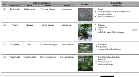 Tabel 1. Jenis tumbuhan obat di Kampung Yenbekwan, Distrik Mansuar, Kabupaten Raja Ampat (Lanjutan)  