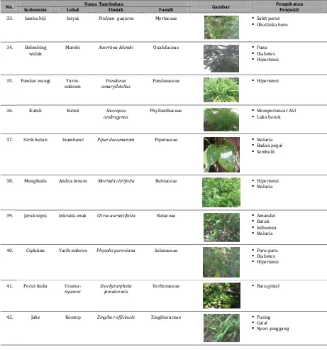 Tabel 1. Jenis tumbuhan obat di Kampung Yenbekwan, Distrik Mansuar, Kabupaten Raja Ampat (Lanjutan)  