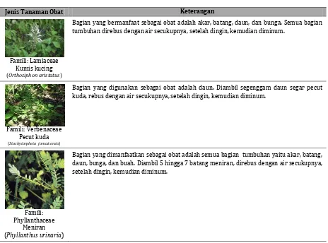 Tabel 2. Cara meramu dan penggunaan tumbuhan obat pada lima kampung di Kabupaten Raja Ampat (Lanjutan)  