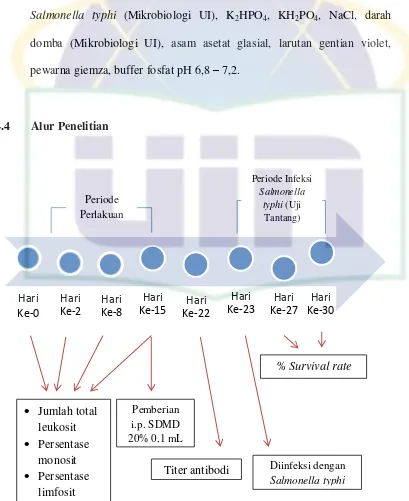 Gambar 4.2 Alur Penelitian 