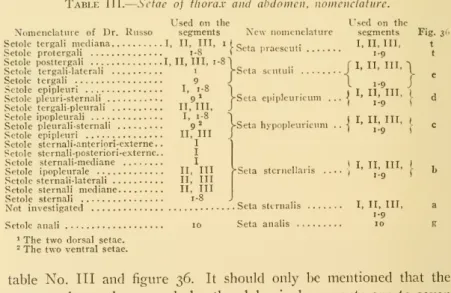 table No. Ill and figure 36. It should only be mentioned that the meso- and metathorax and also the abdominal segments one to seven are alike