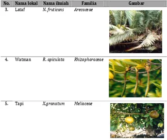 Tabel 1. Jenis- jenis mangrove dan namanya dilokasi penelitian. 
