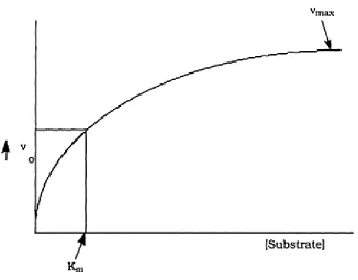 Figure 1: Relation of substrate concentration to rate of a simple one substrate 