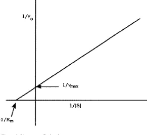 Figure 2: Lineweaver-Burke plot.  