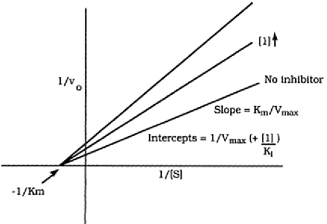 Figure 7: Lirteweaver-Burke plot of uncompetitive inhibition.  
