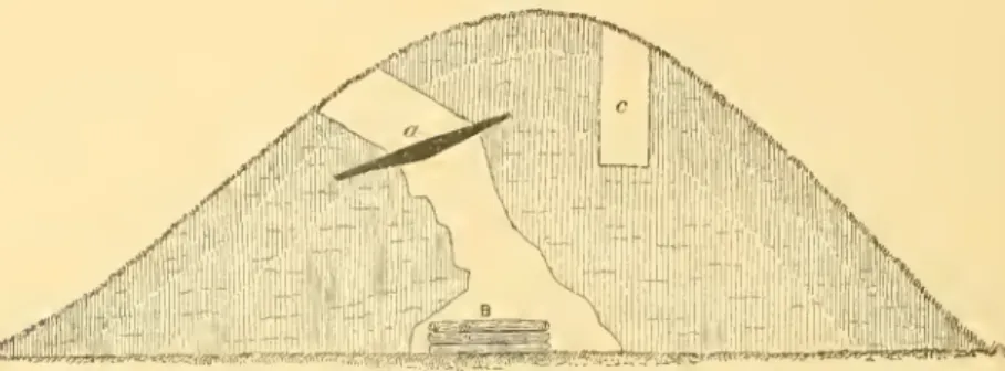 Fig. 20. — W^oodon vault (after Siiiiier aud Davis).