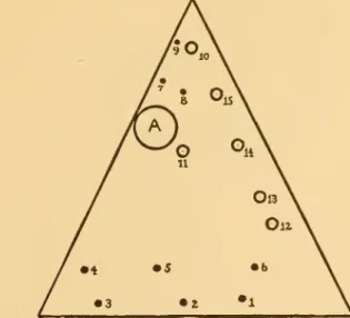 Fig. 26. — Burials iu tbe T. F. Xt-lson triangle, Caldwell County, North Carolina.