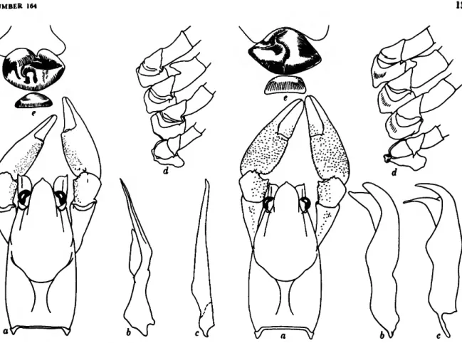 FIGURE l.—Faxonella clypeata (Hay, 1899) from 6.2 miles east of Midway, Barbour County, Alabama, U.S.A