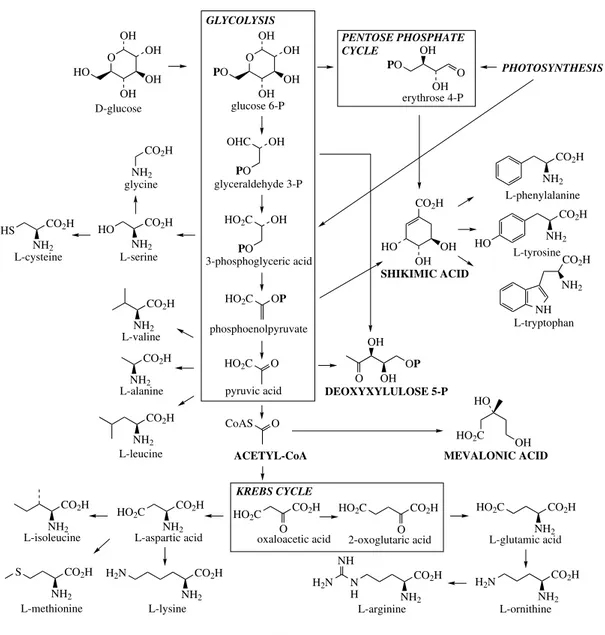 Figure 2.1 responsible for the biosynthesis of a vast array of terpenoid and steroid metabolites.