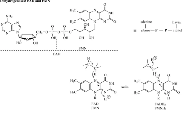 Figure 2.17 reducing agents. In practice, NADPH is generally
