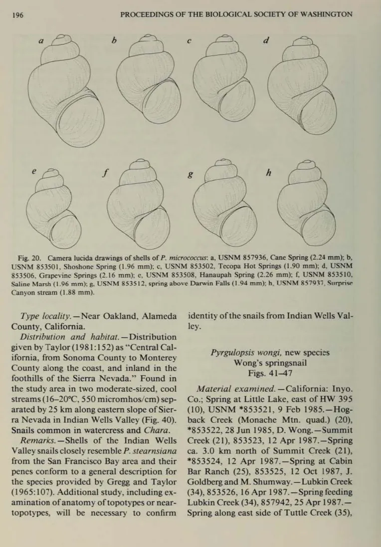 Fig.  20.  Camera  lucida drawings of shells of  P.  ",ic~  a,  USNM  857936.  Cane  Sprinl  (2.2