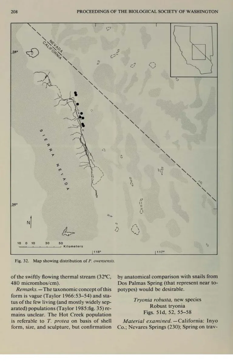Fig.  32.  Map showing dislribution of  P.  owens"lts;s. 