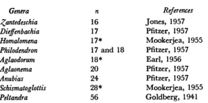 Table  1  summarizes the  information  available con-  cerning  chromosome numbers  within  the  genus Agla-  onema