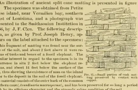 . ., 1 -i ii 1 i. ii i- -I 1 1 4. Fig. 11.— Small portion of rush mat- mat-prior to the deposit in the soil of the lossil elephant