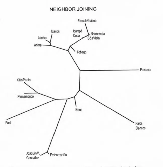 Fig. 5. • Neighbor-joining tree for 16 geographic samples of Leptodactylus fuscus. 