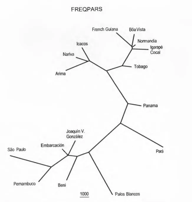 Fig. 7. • Linear programming method for alíele frequency data (FREQPARS)  for 16 geographic samples of Leptodactylus fuscus
