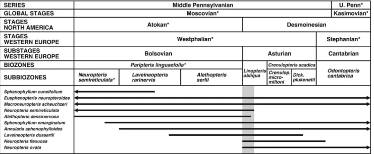 Figure 7.1 shows the currently accepted correlation scheme in the Indiana portion of the Illinois Basin (with a focus on the Brazil and Staunton formations) and displays the relationships among chronostratigraphic, lithostratigraphic, and biostratigraphic 