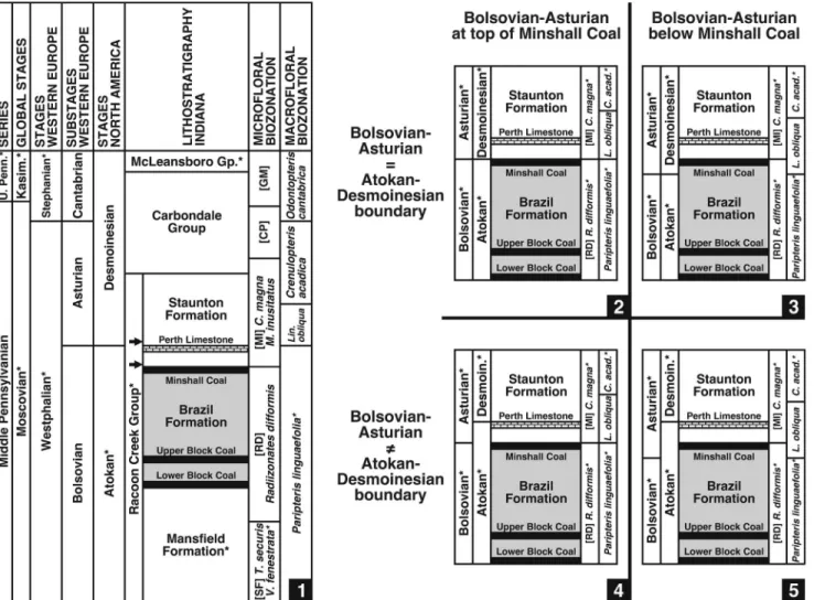Figure 7. Options for placement of Atokan-Desmoinesian Stage boundary and Bolsovian-Asturian Substage boundary based on biostratigraphic data presented herein