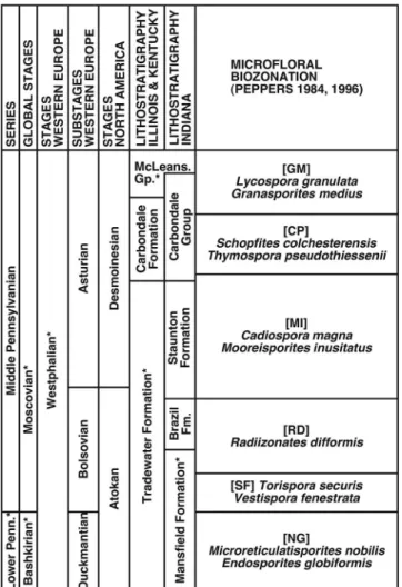 Figure 4. Microﬂoral biozonation scheme of Peppers (1984, 1996) correlated with chronostratigraphic and lithostratigraphic units (* indicates incomplete unit)